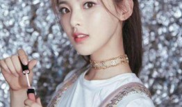 杨惠婷事件爆料最新消息,揭秘背后惊人内幕