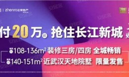武汉谭先生最新爆料新闻,揭露XX惊人内幕
